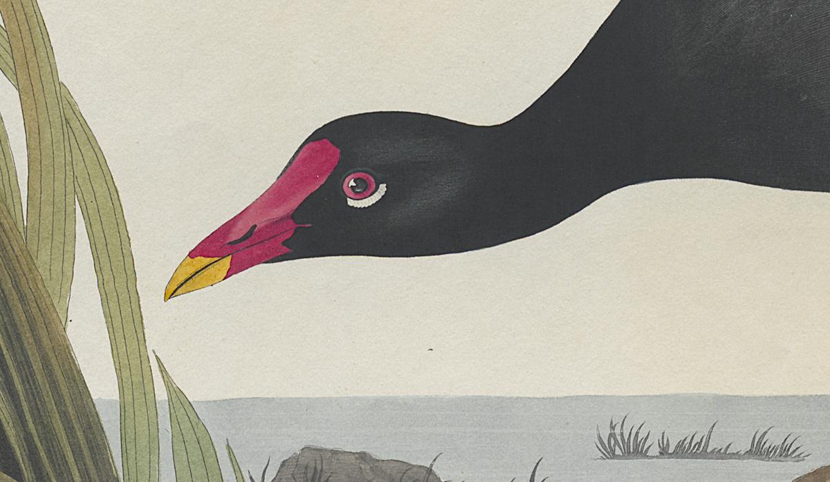 1959.0162.0133 Print, Detail