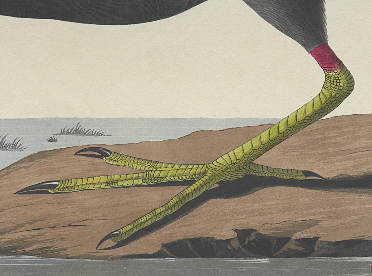 1959.0162.0133 Print, Detail 2