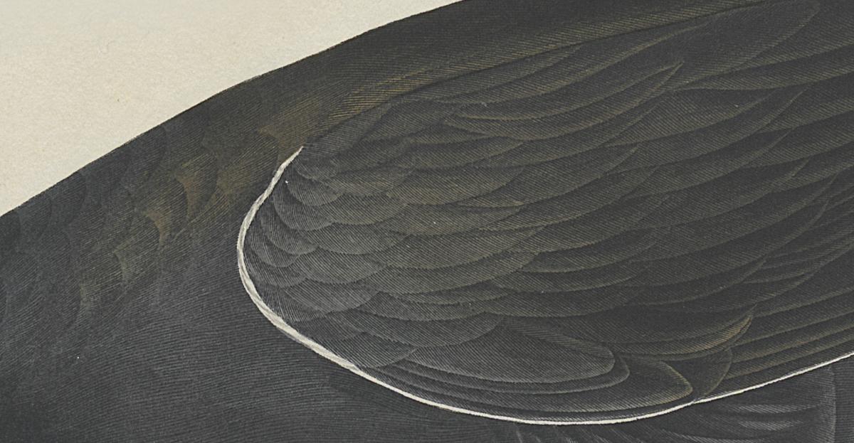 1959.0162.0133 Print, Detail 3