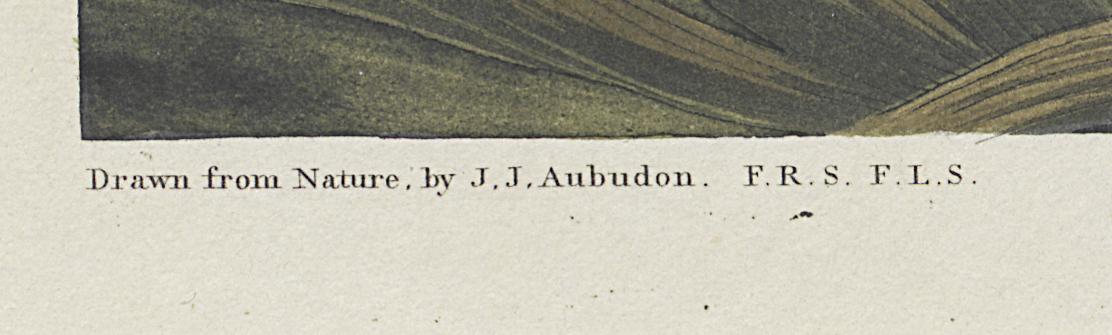 1959.0162.0133 Print, Detail 5