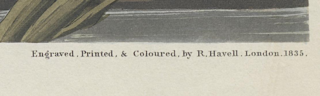 1959.0162.0133 Print, Detail 6