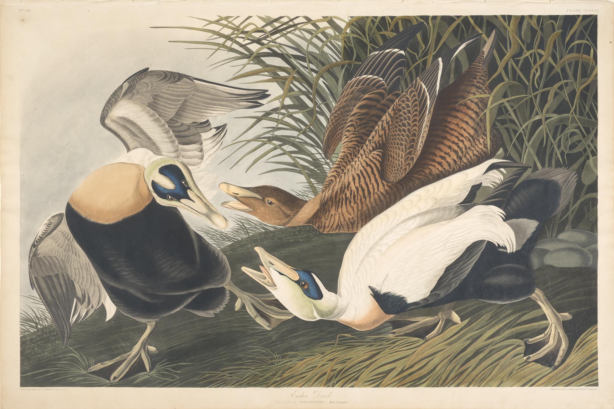 1959.0162.134 Print, view 1