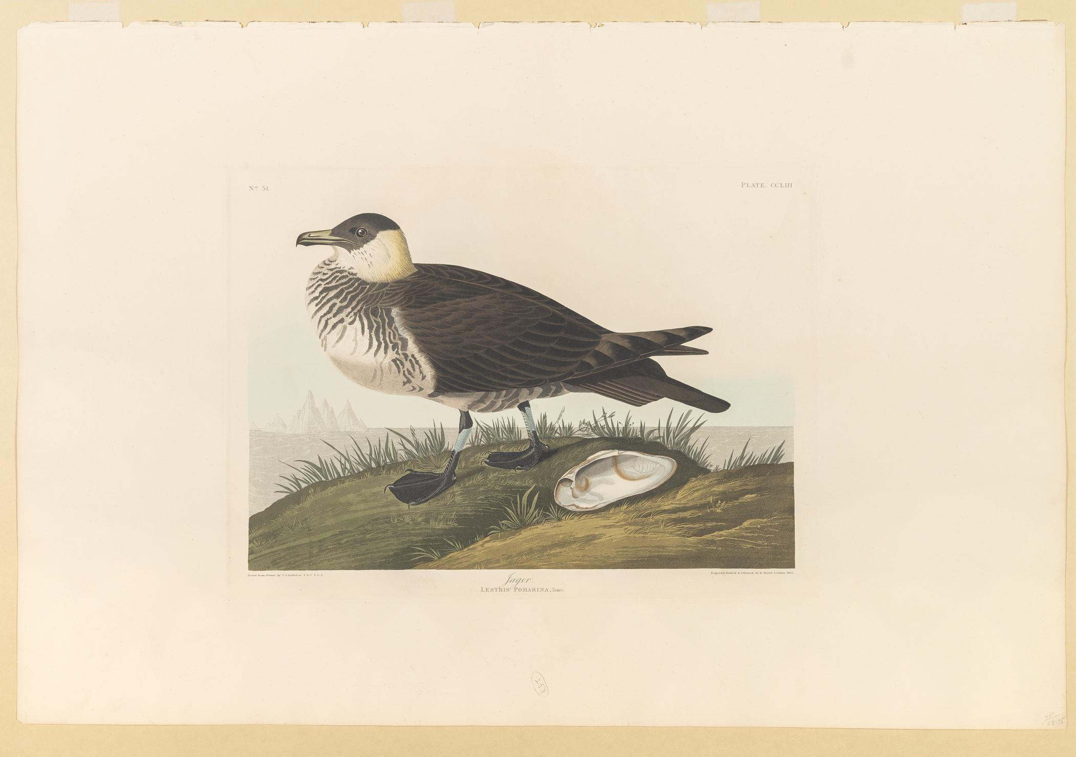 1959.0162.138 Print, view 1