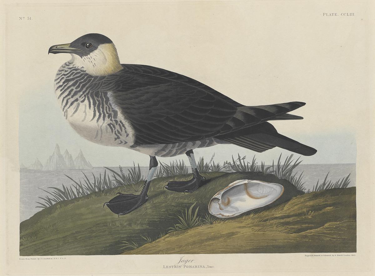 1959.0162.138 Print, View 2