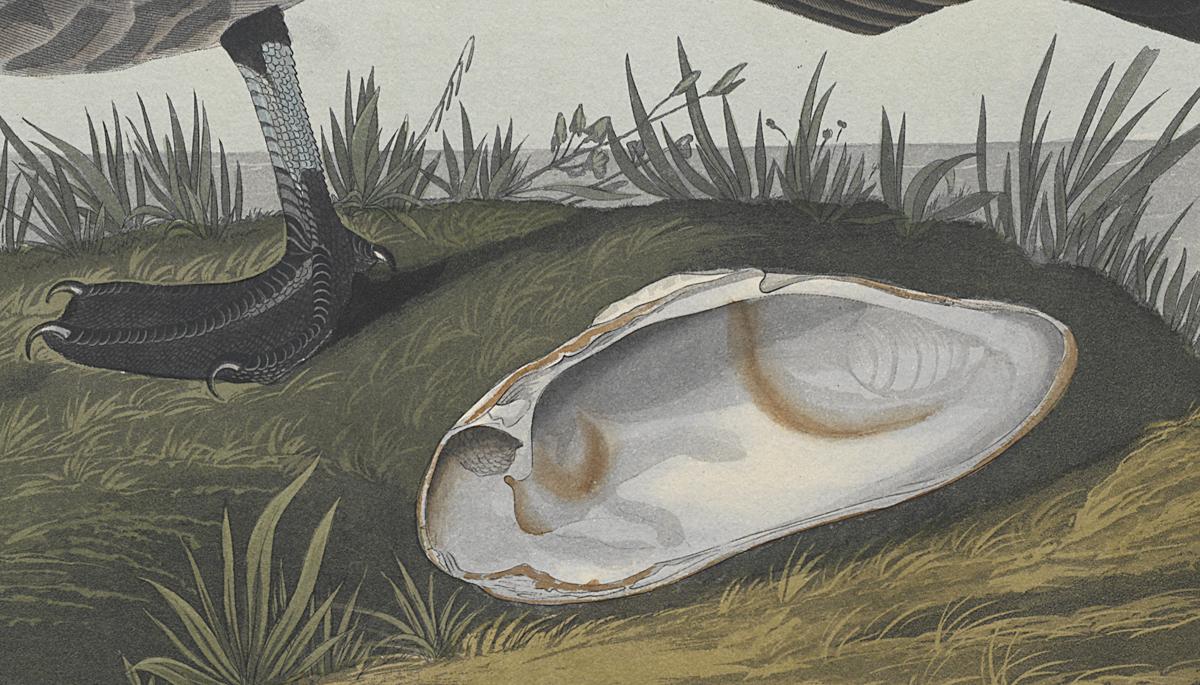 1959.0162.138 Print, Detail 2