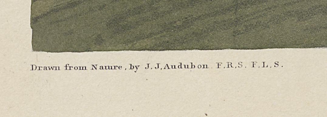 1959.0162.138 Print, Detail 5