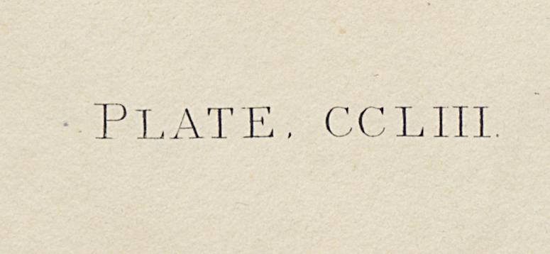 1959.0162.138 Print, Detail 7