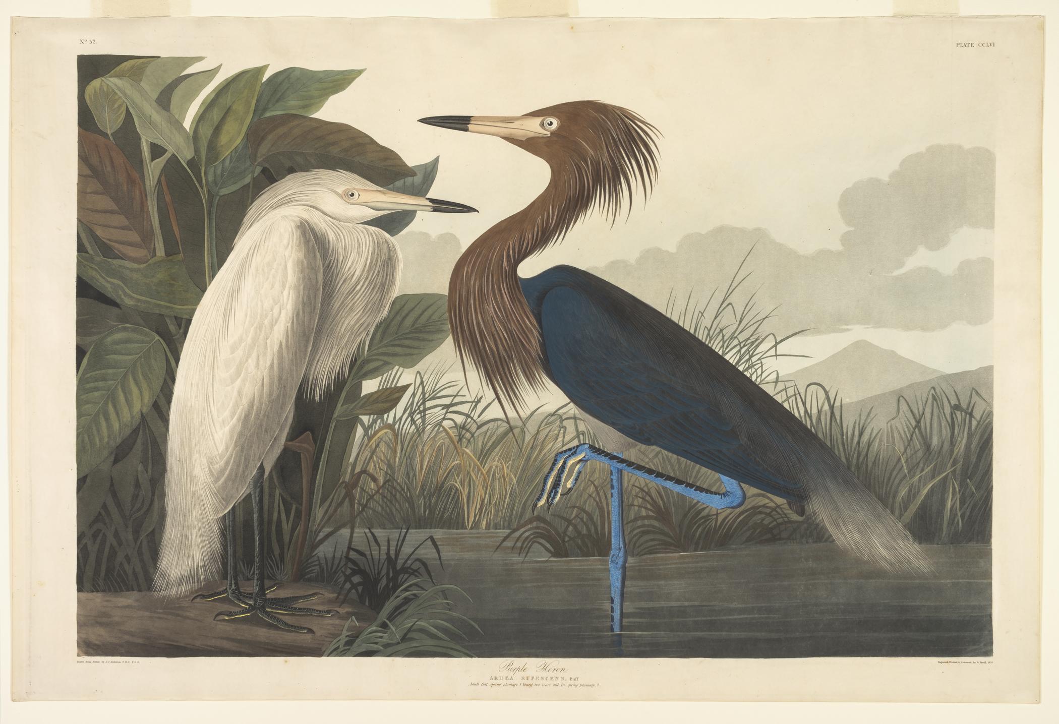1959.0162.140 Print, view 1