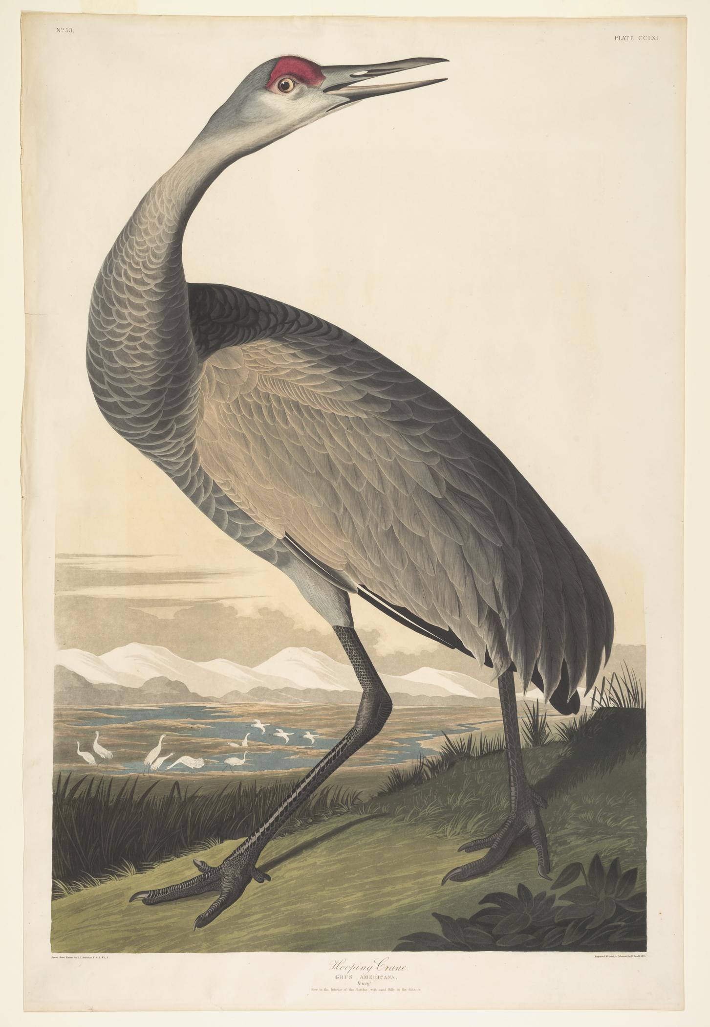 1959.0162.142 Print, view 1