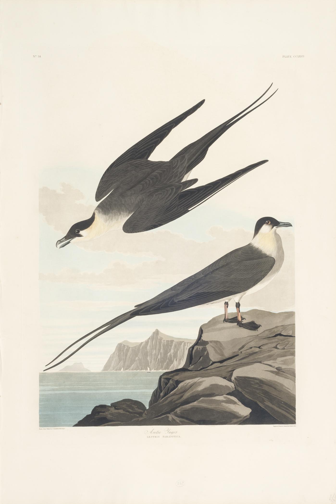 1959.0162.146 Print, view 1