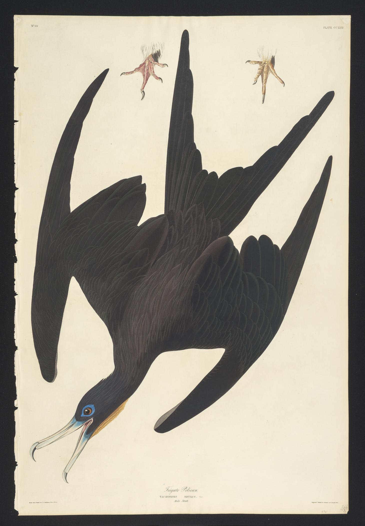 1959.0162.147 Print, view 1