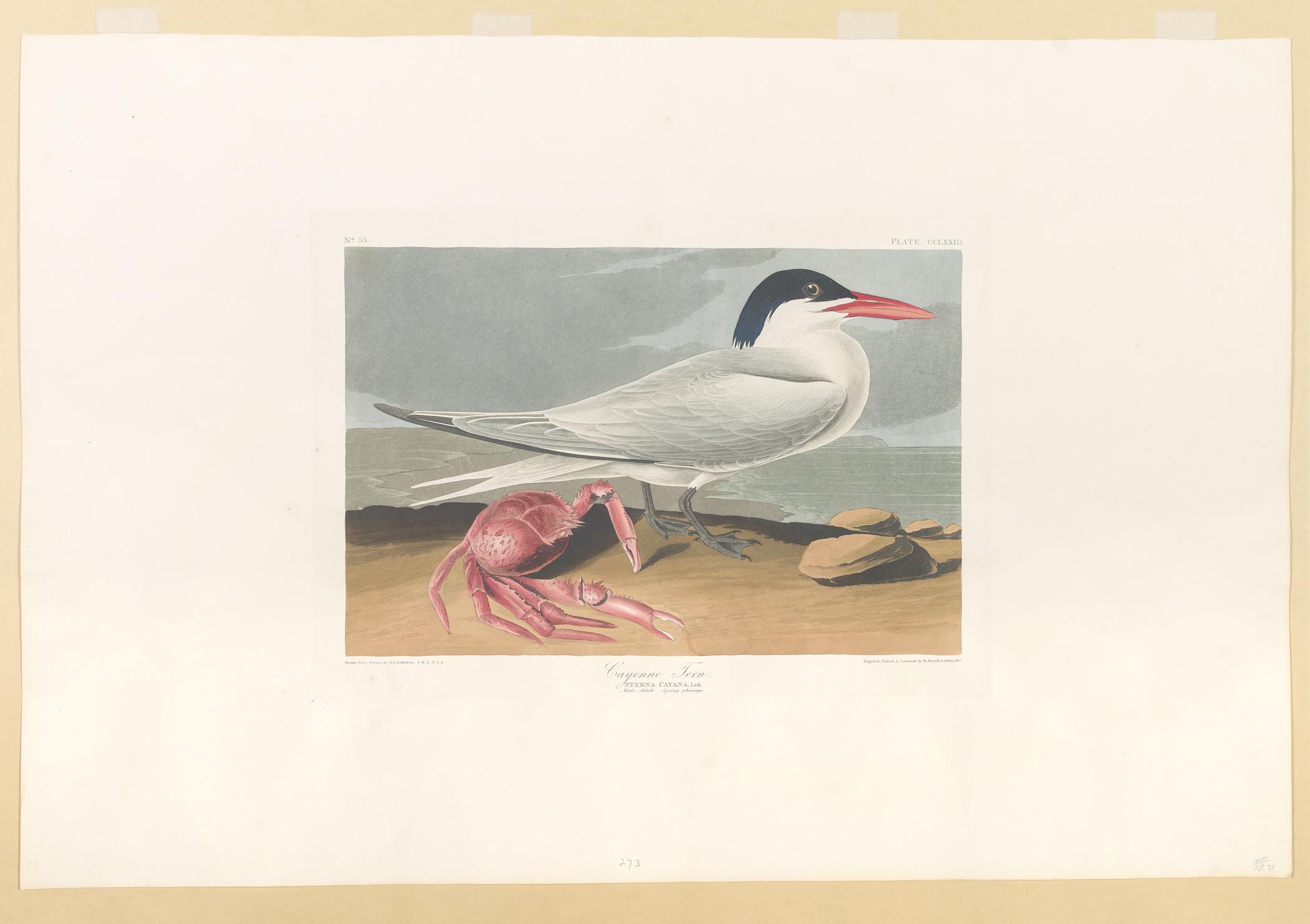 1959.0162.148 Print, view 1