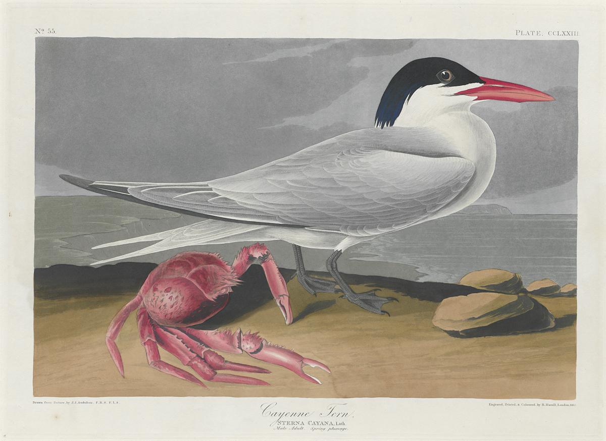 1959.0162.148 Print, View 2