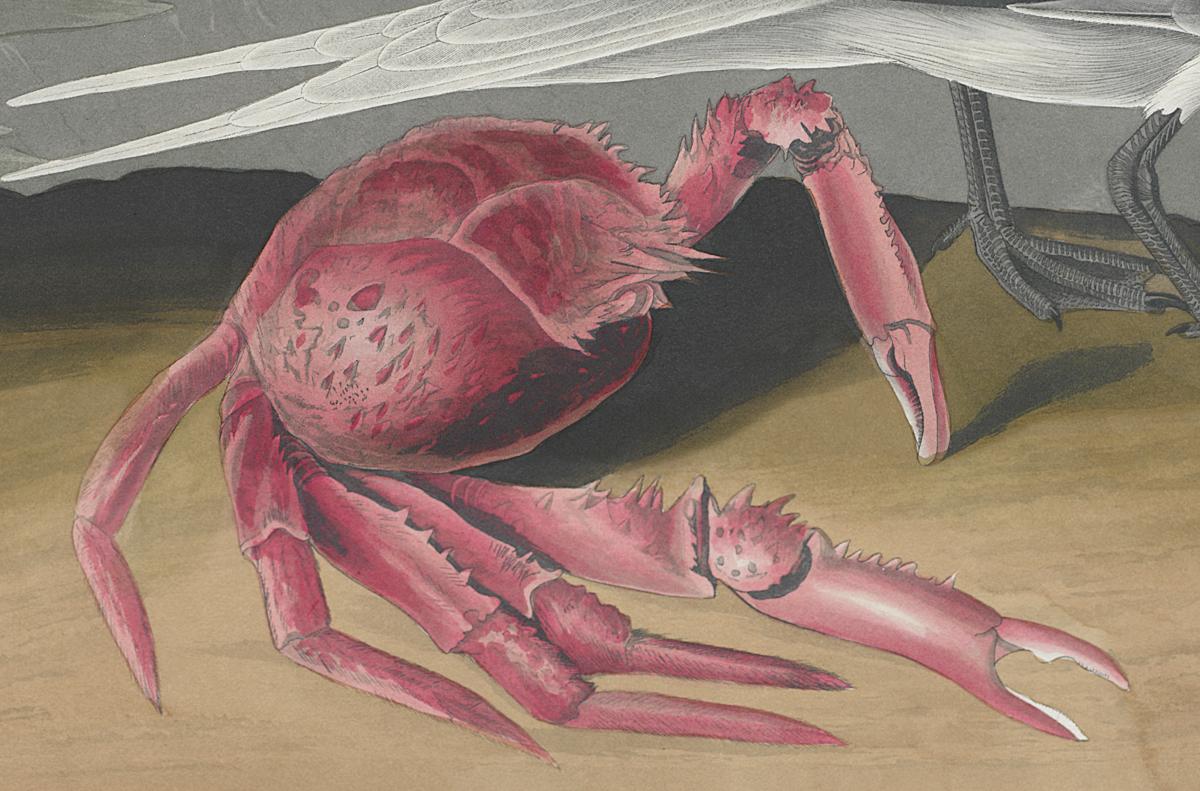 1959.0162.148 Print, Detail 2