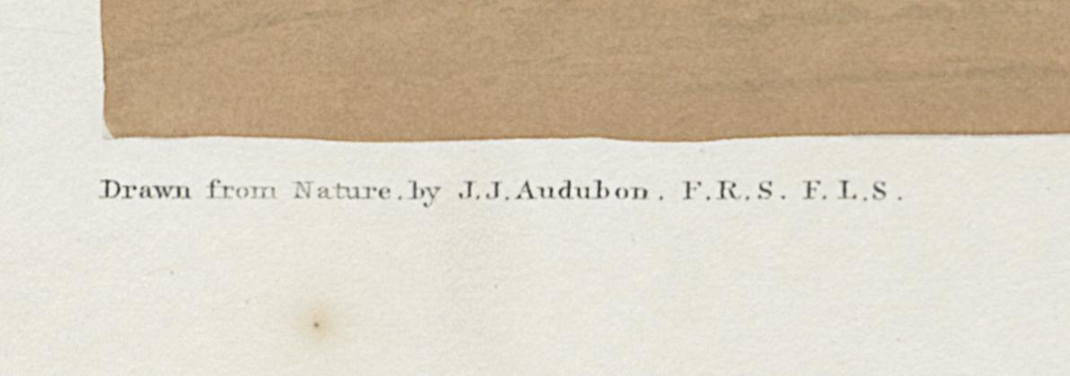 1959.0162.148 Print, Detail 4