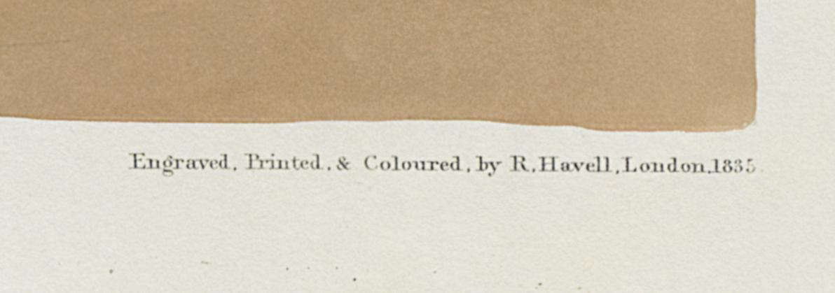1959.0162.148 Print, Detail 5