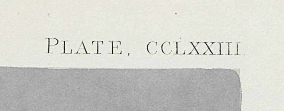 1959.0162.148 Print, Detail 6