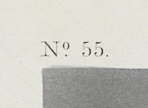 1959.0162.148 Print, Detail 7