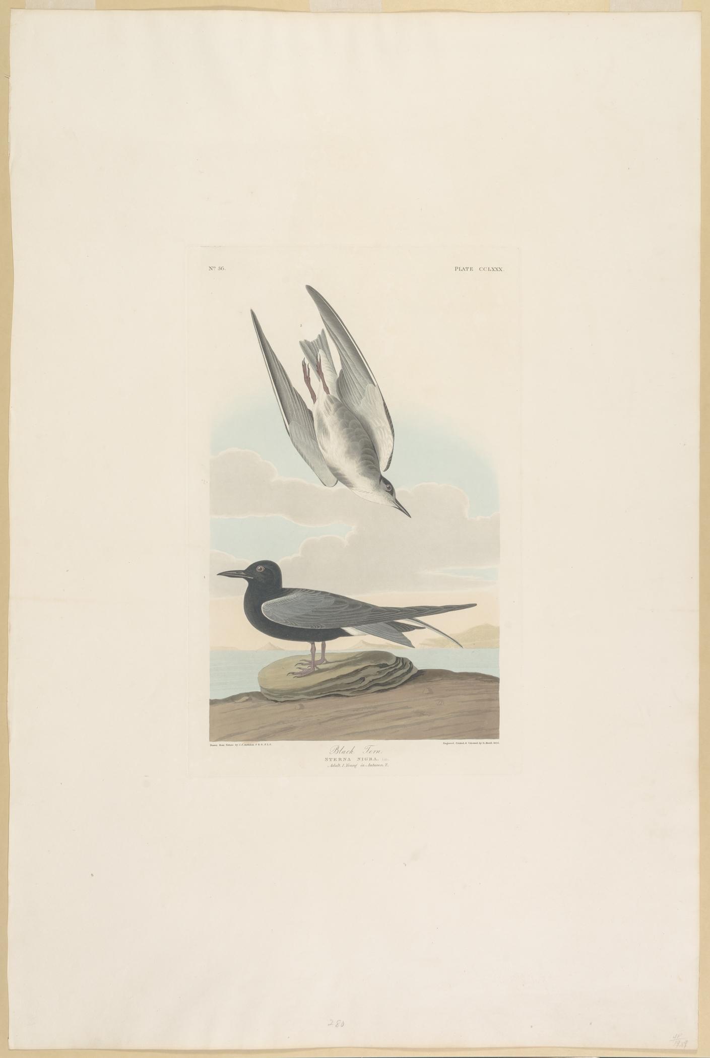 1959.0162.151 Print, view 1
