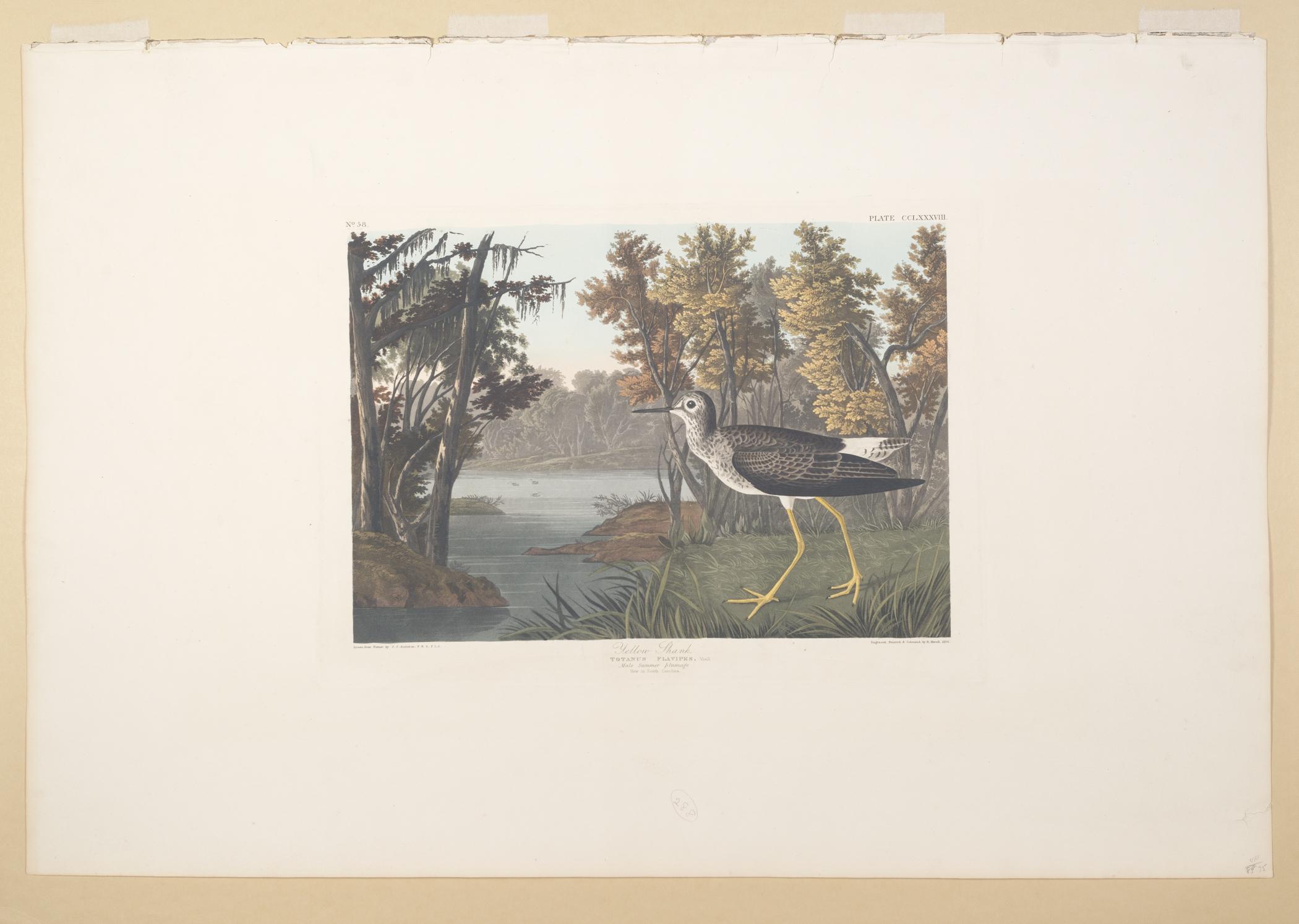 1959.0162.154 Print, view 1