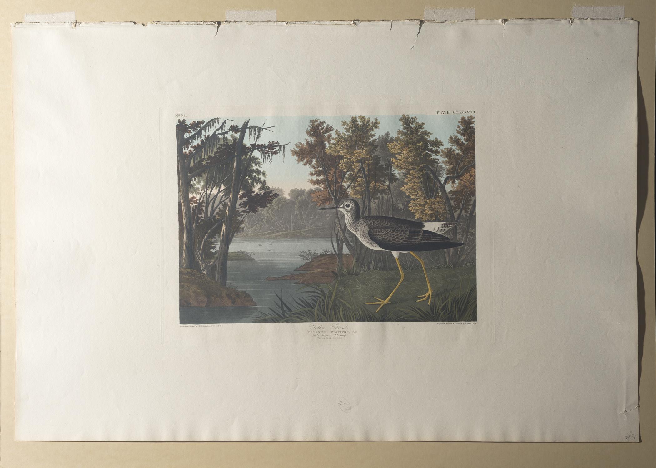 1959.0162.154 Print, view 2, raking light