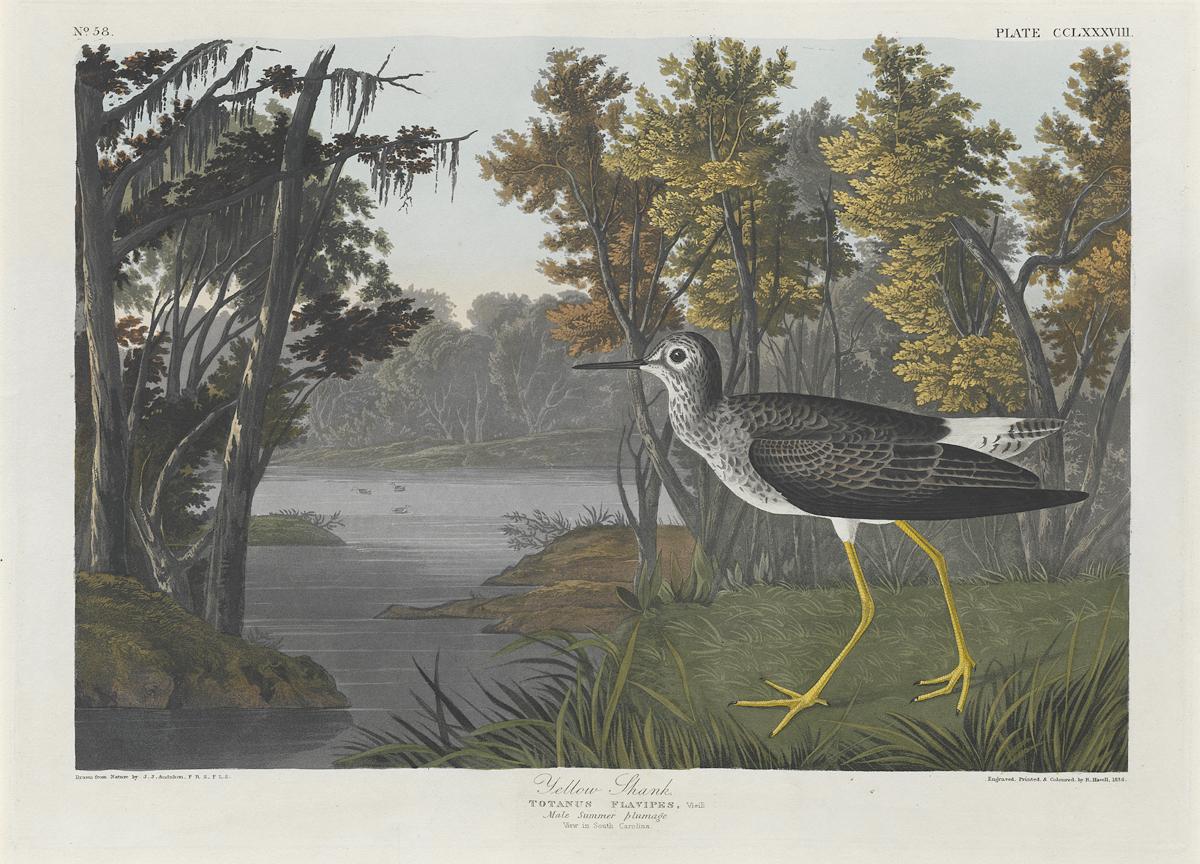 1959.0162.154 Print, View 2