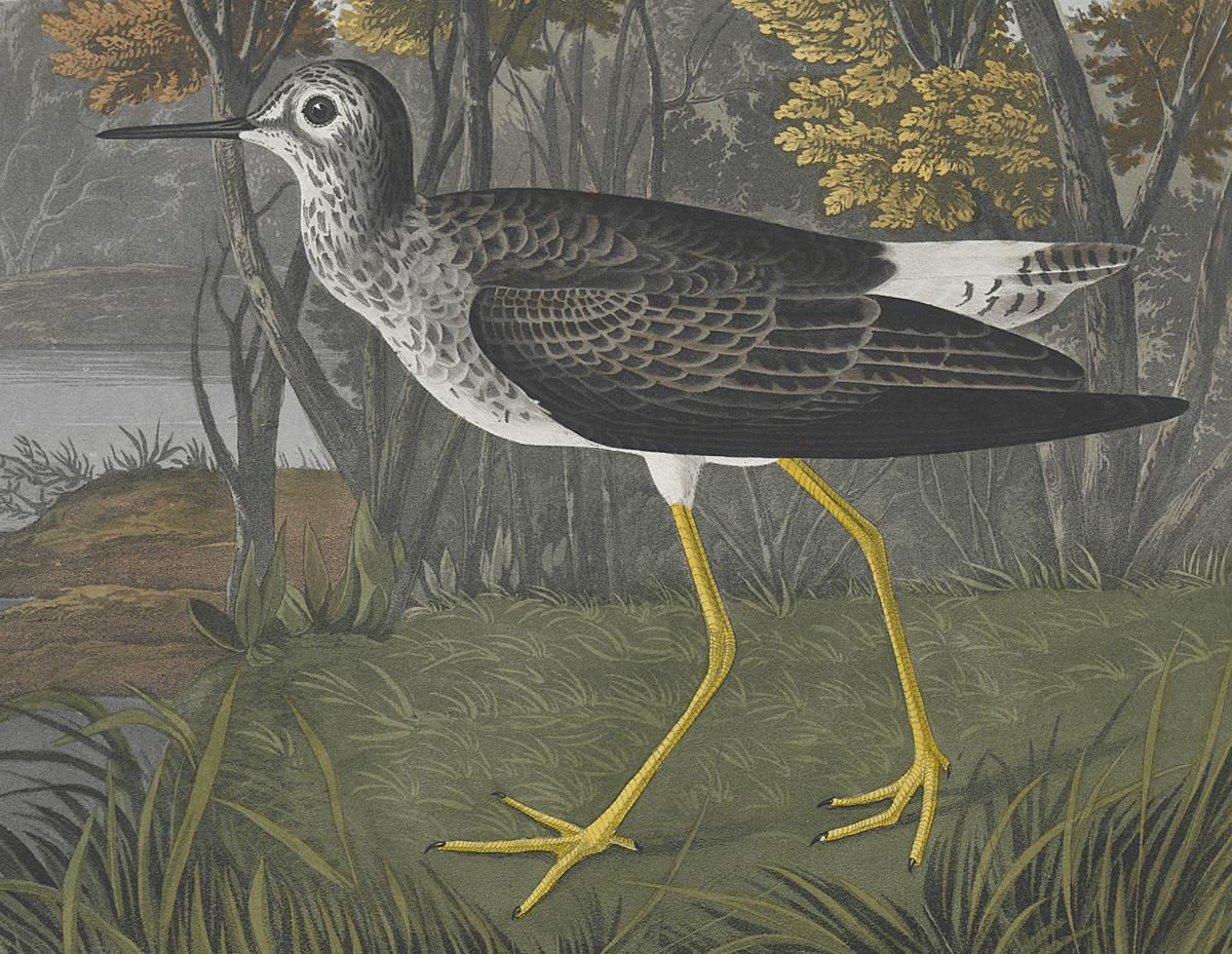 1959.0162.154 Print, Detail