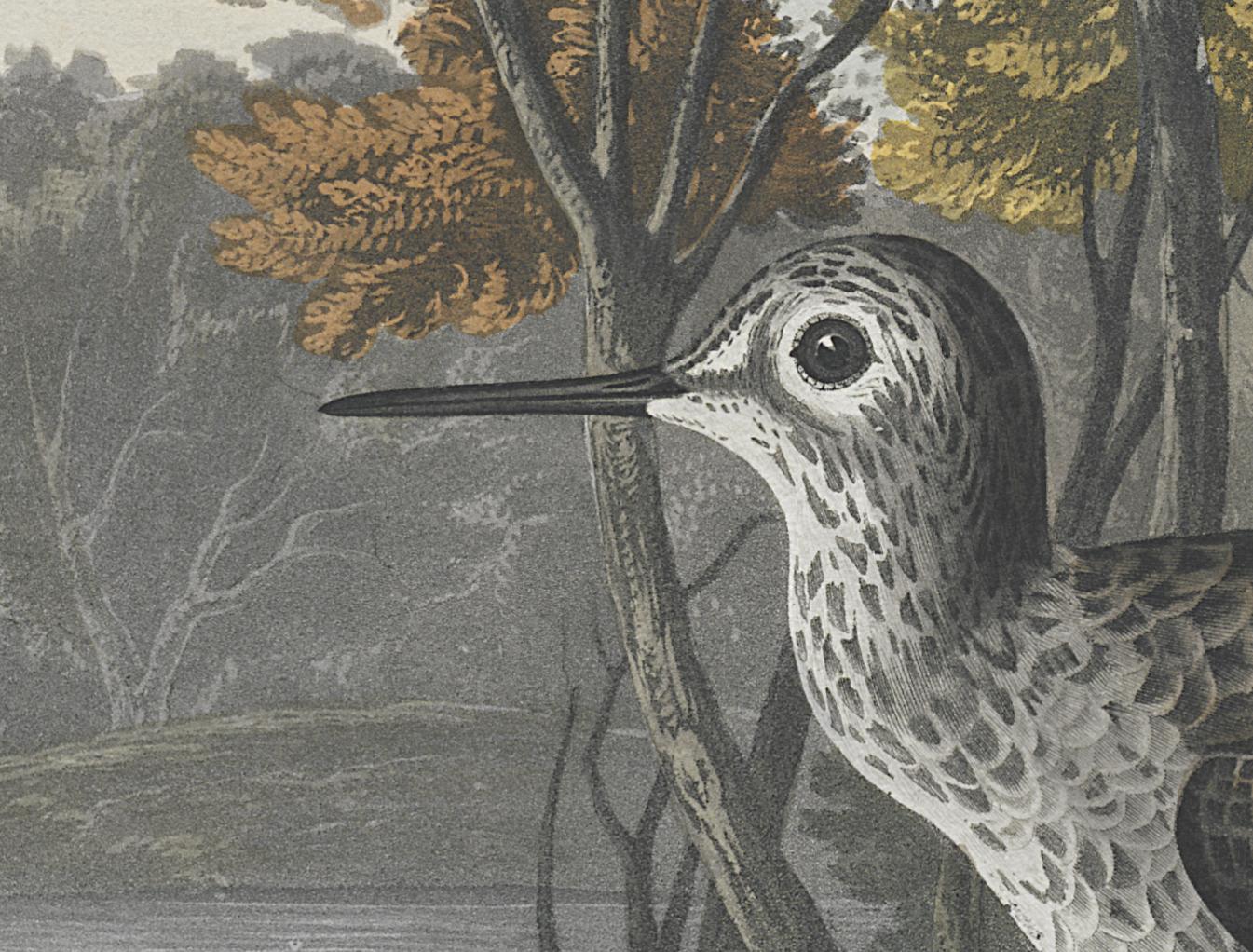 1959.0162.154 Print, Detail 2