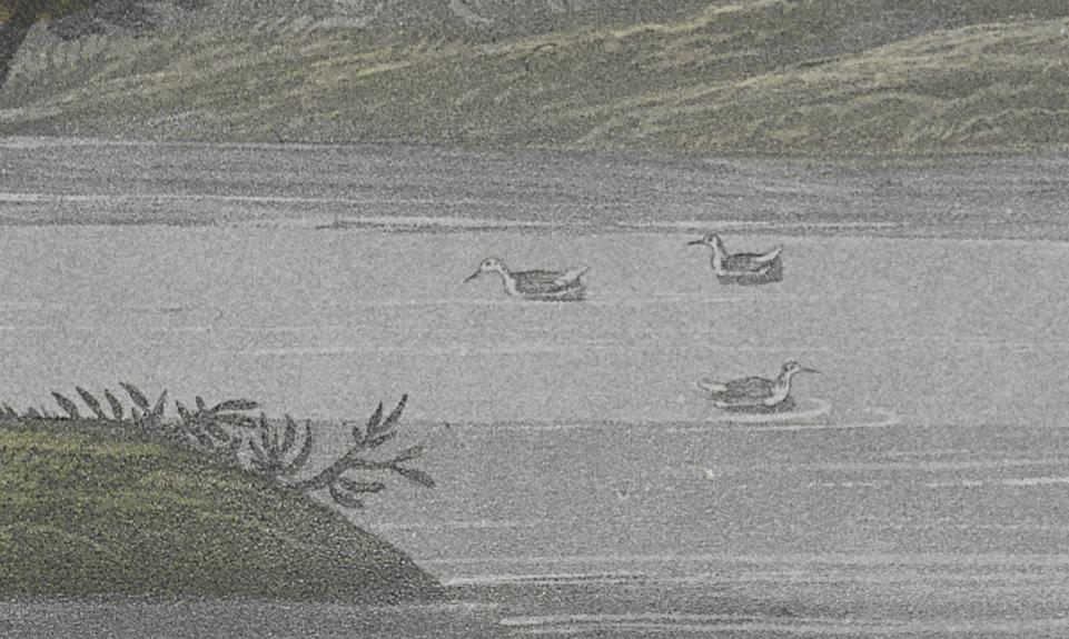 1959.0162.154 Print, Detail 3