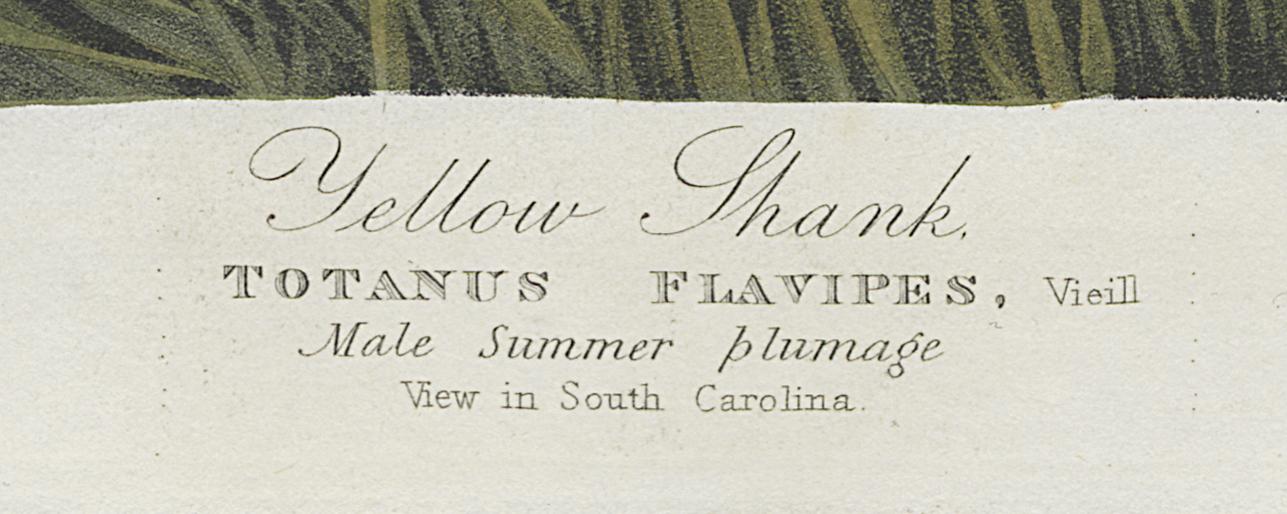 1959.0162.154 Print, Detail 4