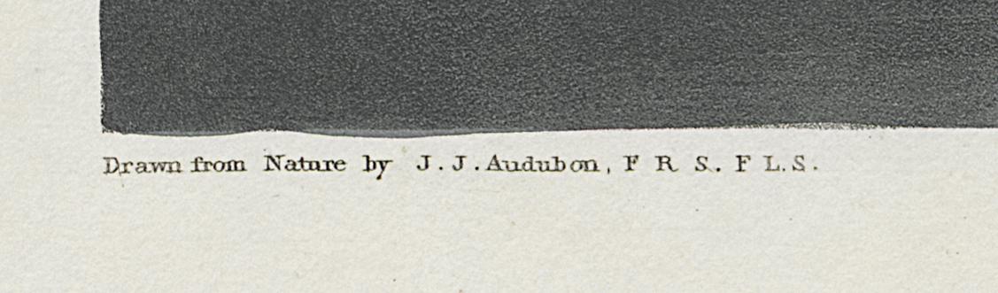 1959.0162.154 Print, Detail 5
