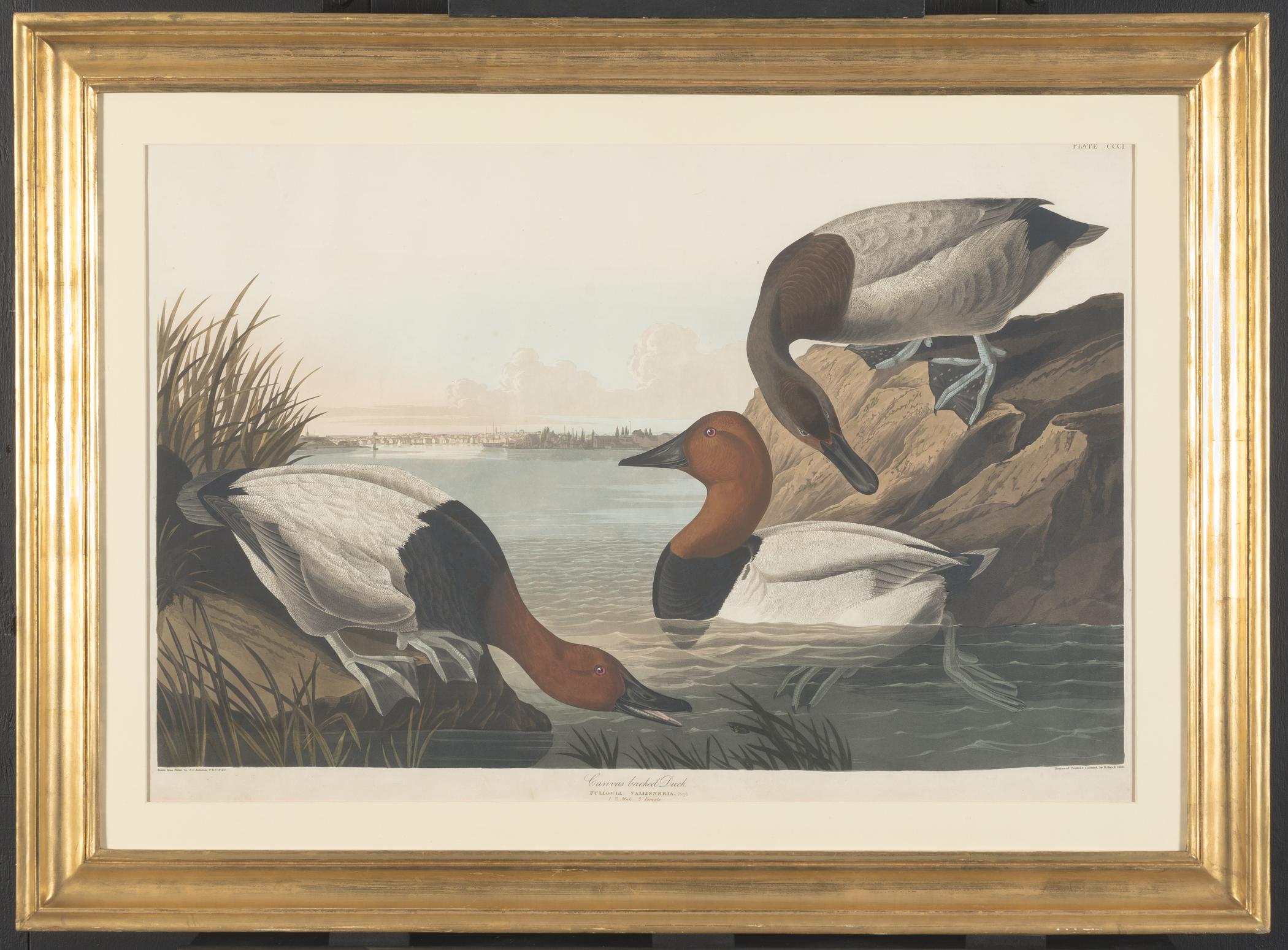 1959.0162.161 Print, view 1