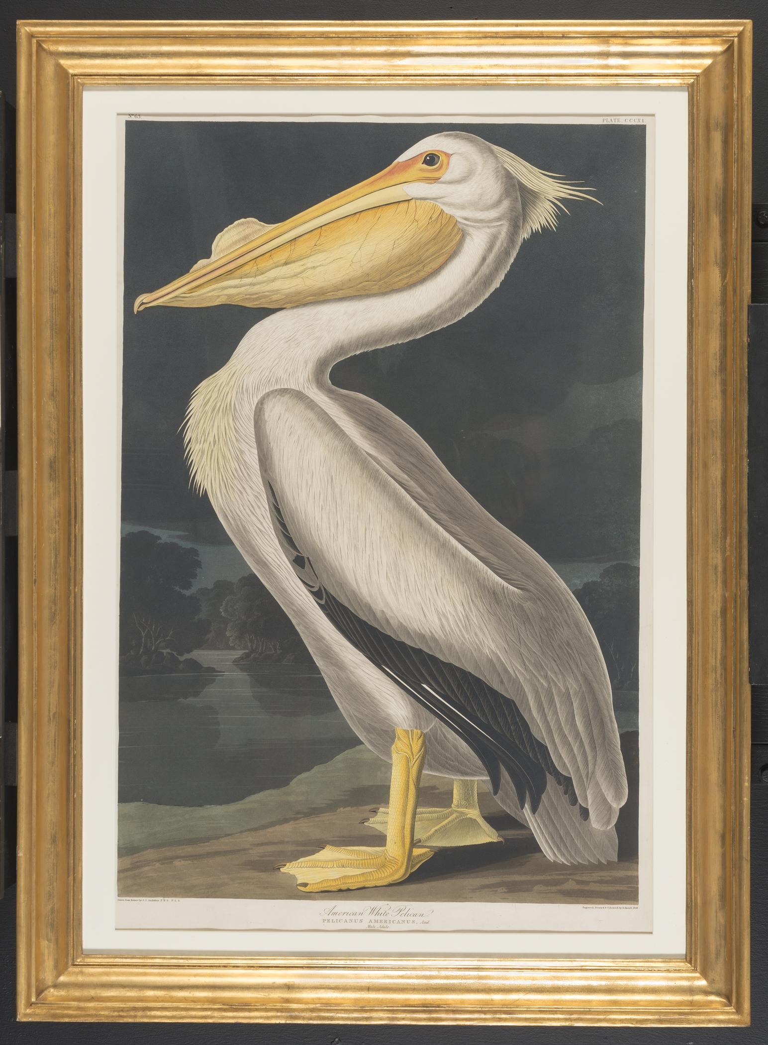 1959.0162.168 Print, view 1