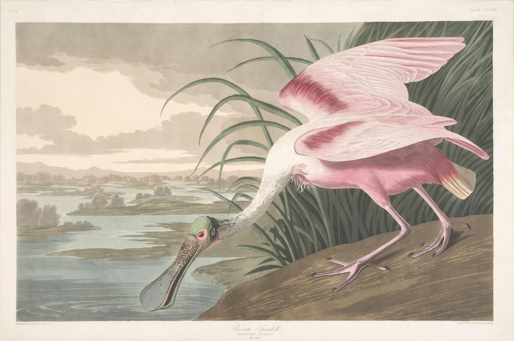 1959.0162.176 Print, view 1
