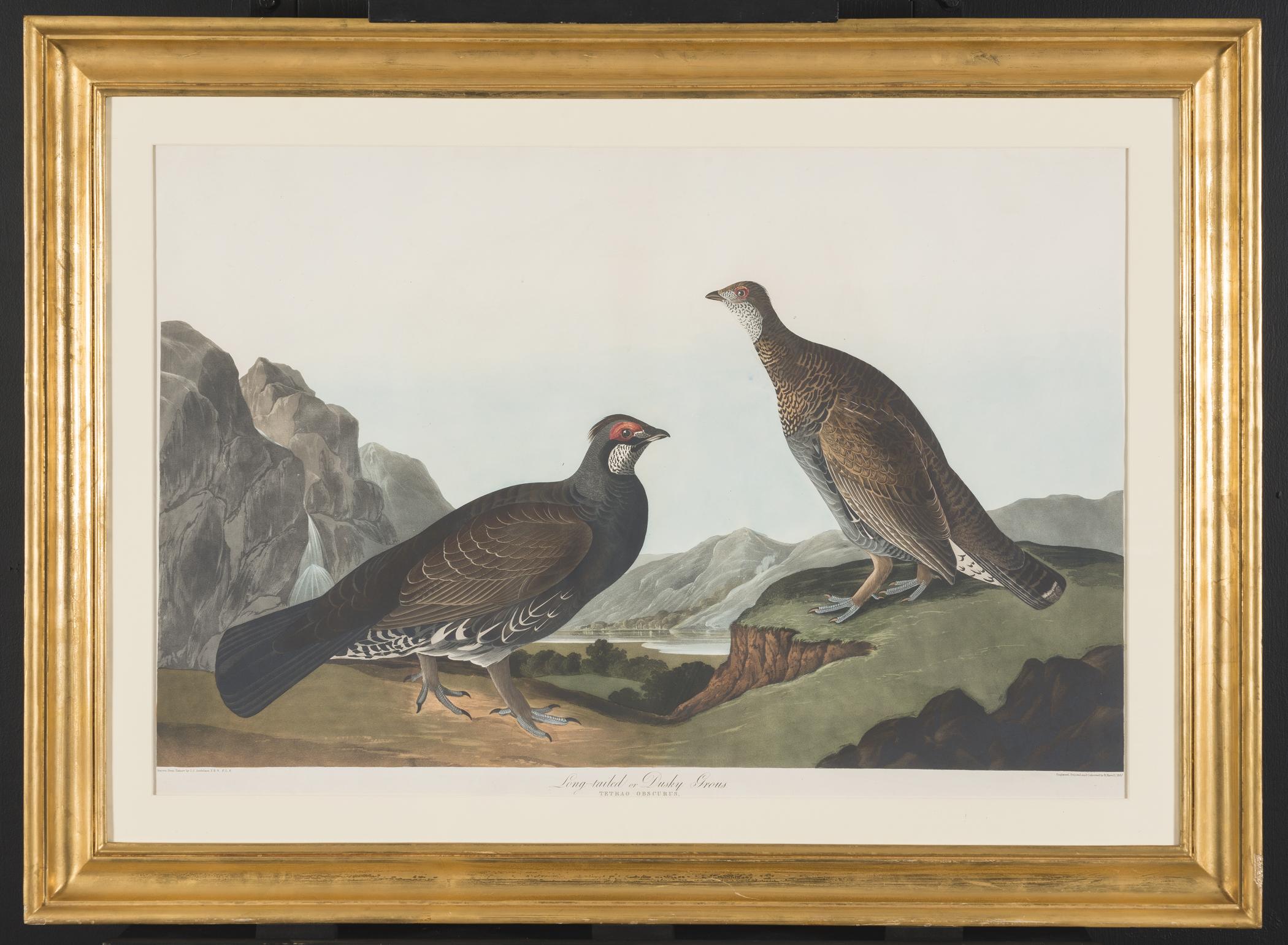 1959.0162.204 Print, view 1