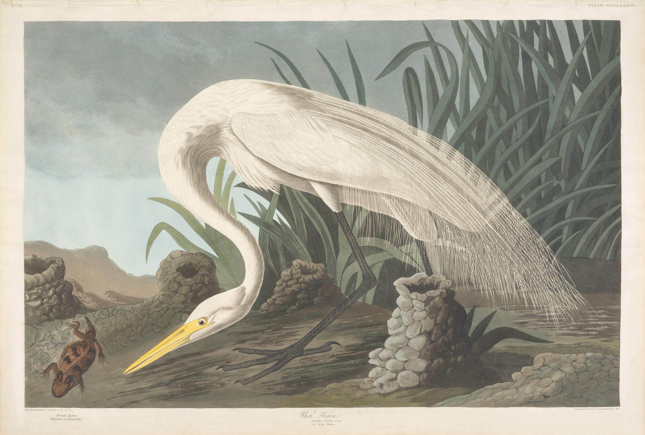 1959.0162.219 Print, view 1