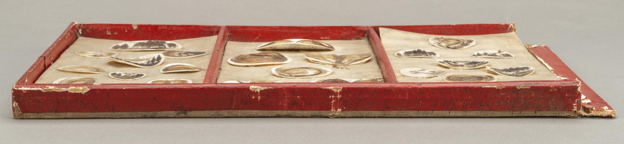 1959.0580 C Tray, view 2, before conservation treatment