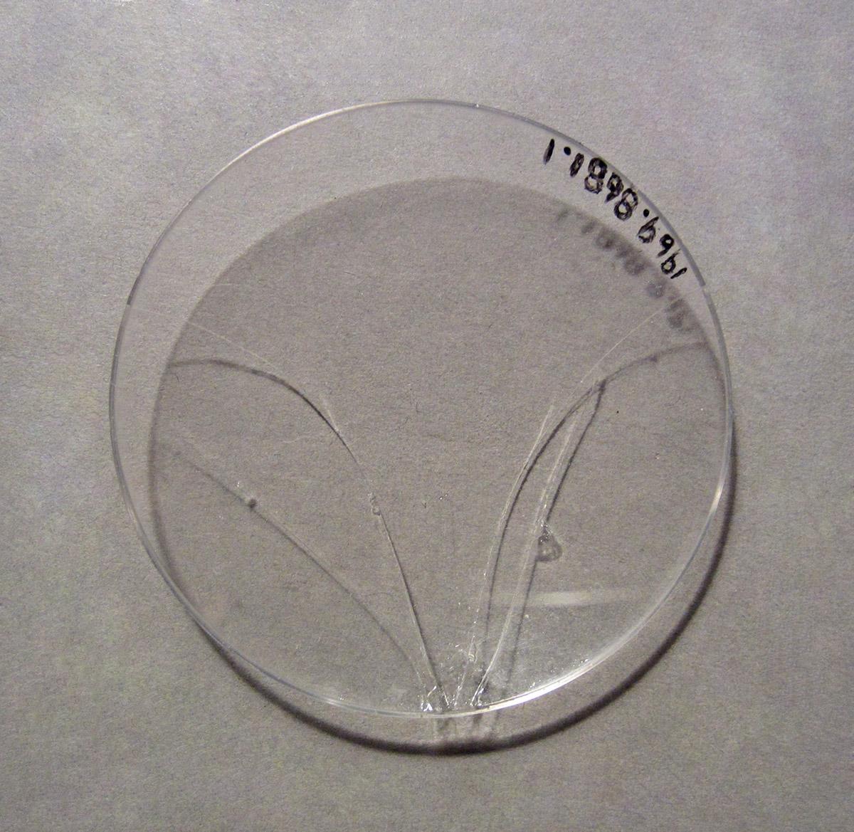 1969.8681.001, Glass, side 2