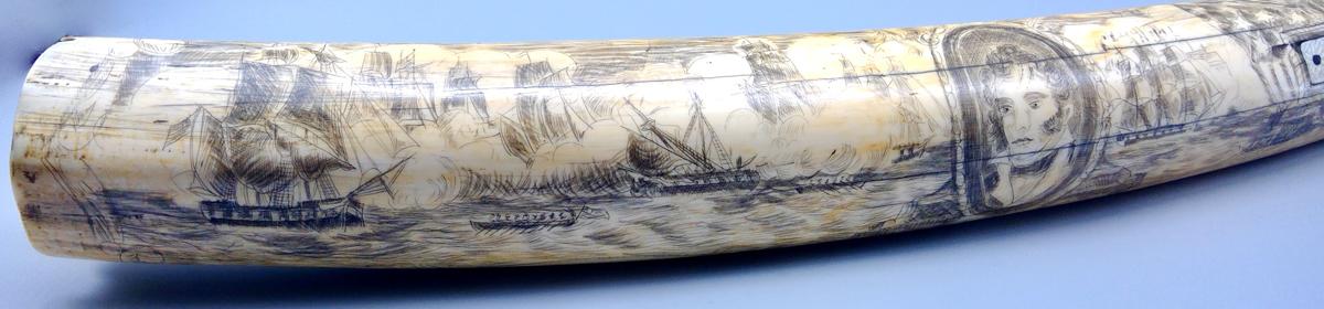 1959.0792 Tusk, detail 2
