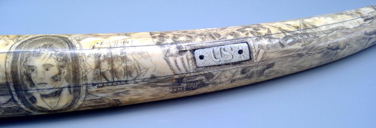 1959.0792 Tusk, detail 3