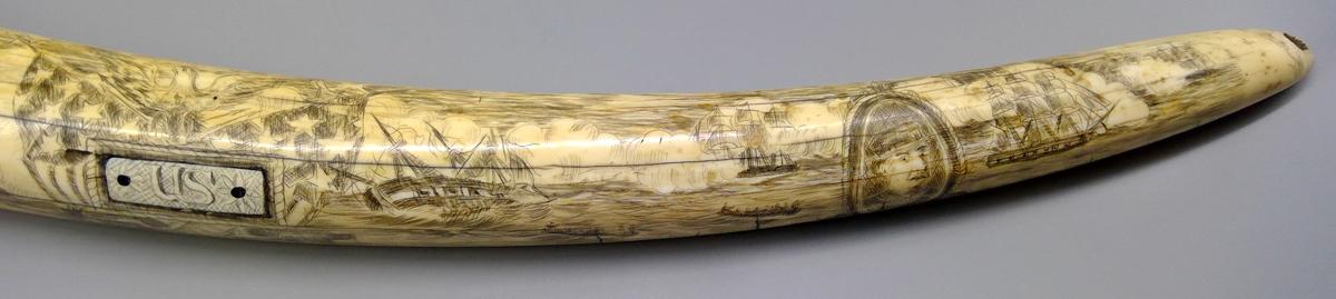 1959.0792 Tusk, detail 4