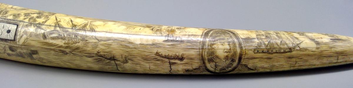 1959.0792 Tusk, detail 5
