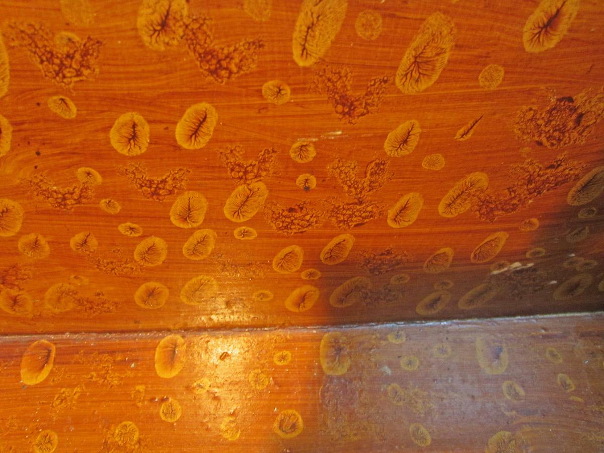 1959.0842, Box, inside detail