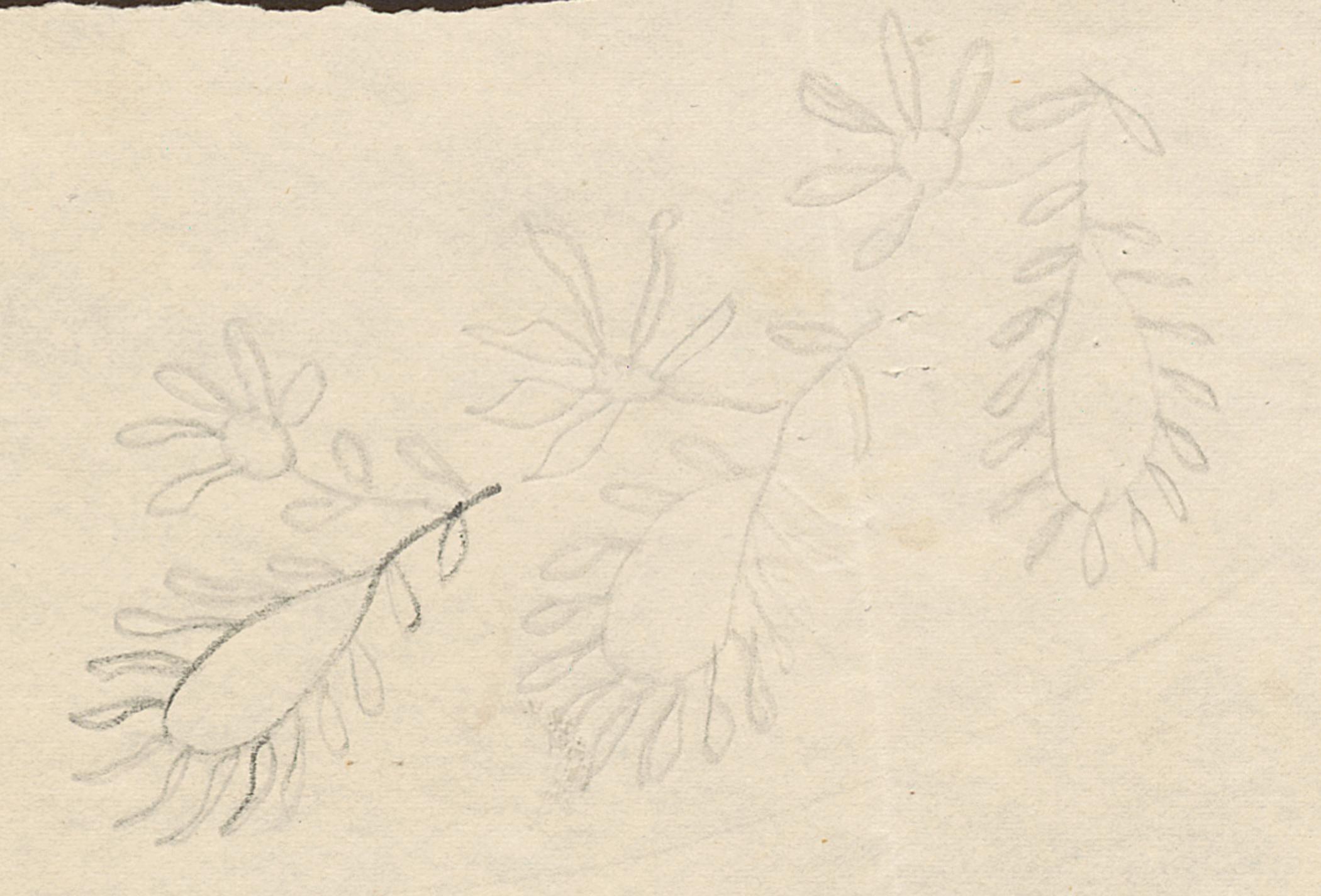 2013.0019 K Needlework pattern, detail