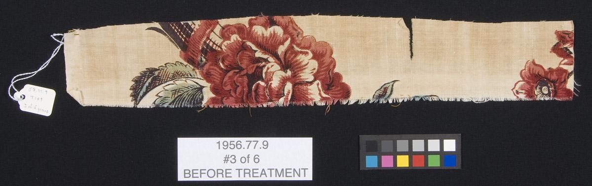 1958.0077.009 C, before conservation treatment