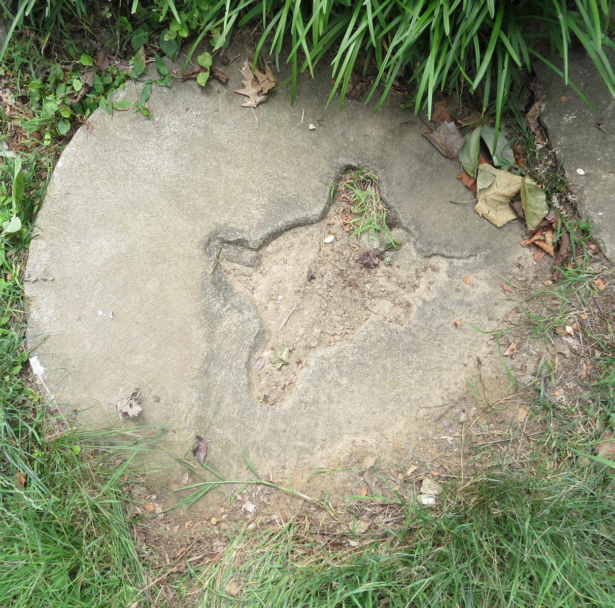 1969.8692 Mill stone, overall