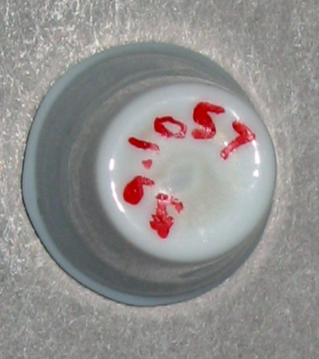 1959.1057 White glass miniature tumbler (underside)
