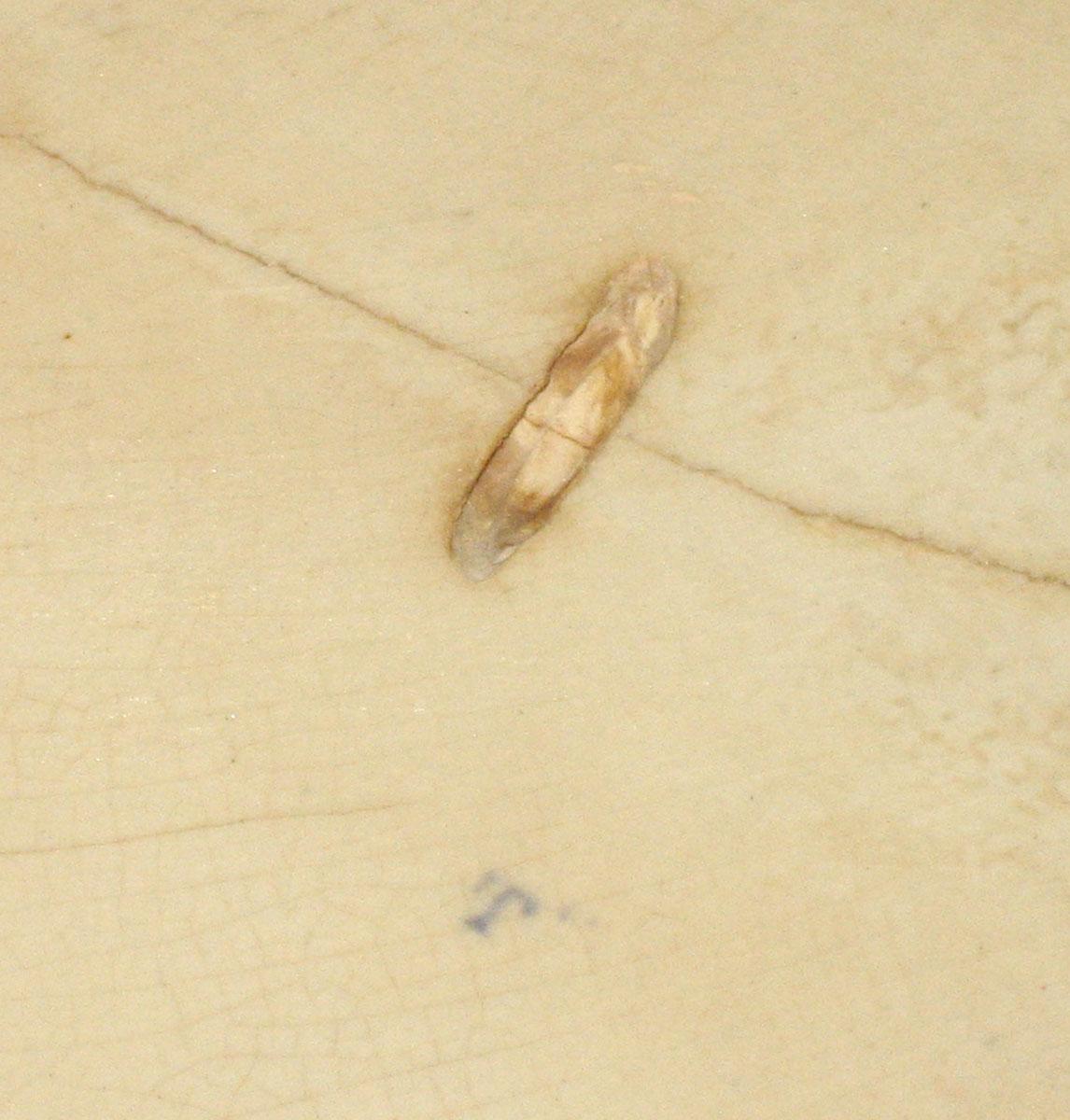 2014.0042.013 Platter or dish mark 2