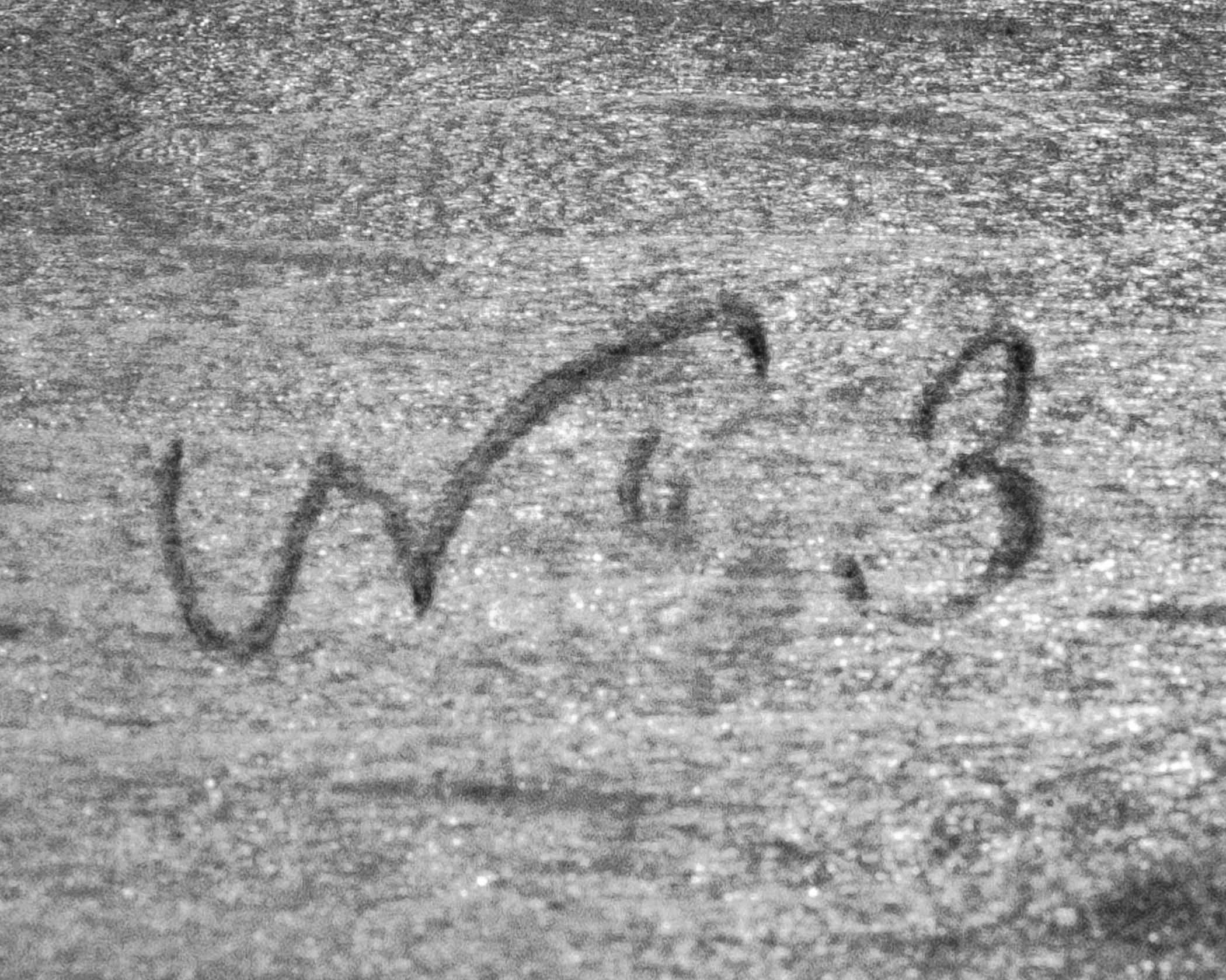 2015.0005 Bureau, detail 1, infrared reflectography
