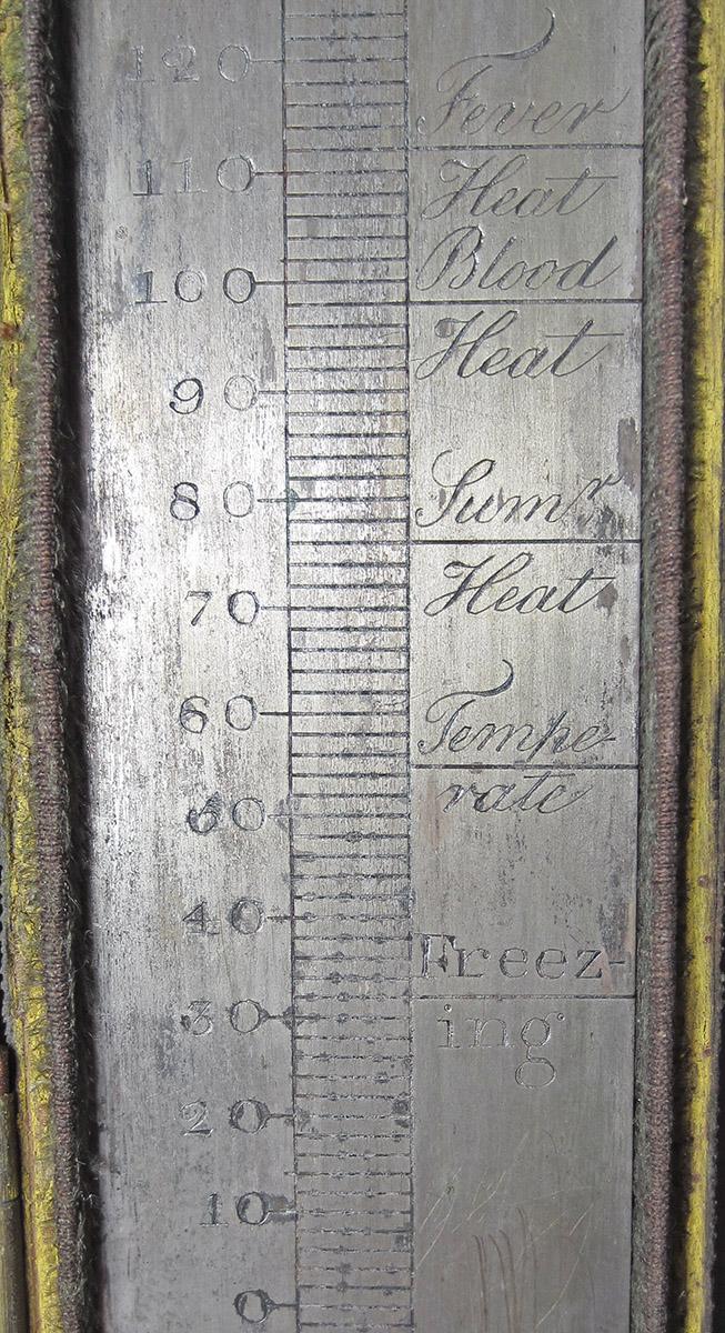 1969.9069, Thermometer case, plate detail 1